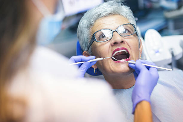 Professional Holistic Dental Care Services in Mount Vernon, AL